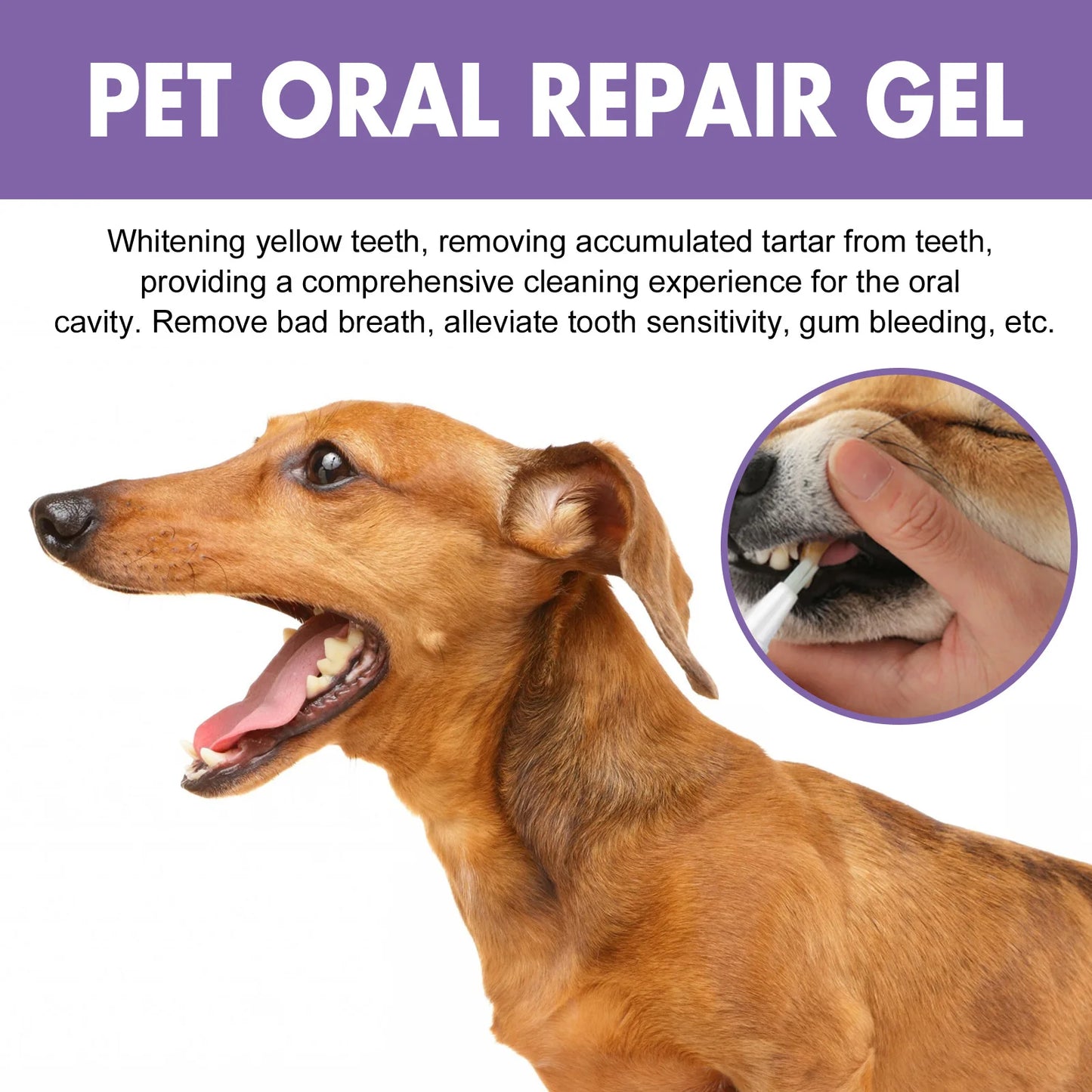 Pet Dental Gel — Fight Tartar & Bad Breath Without Brushing