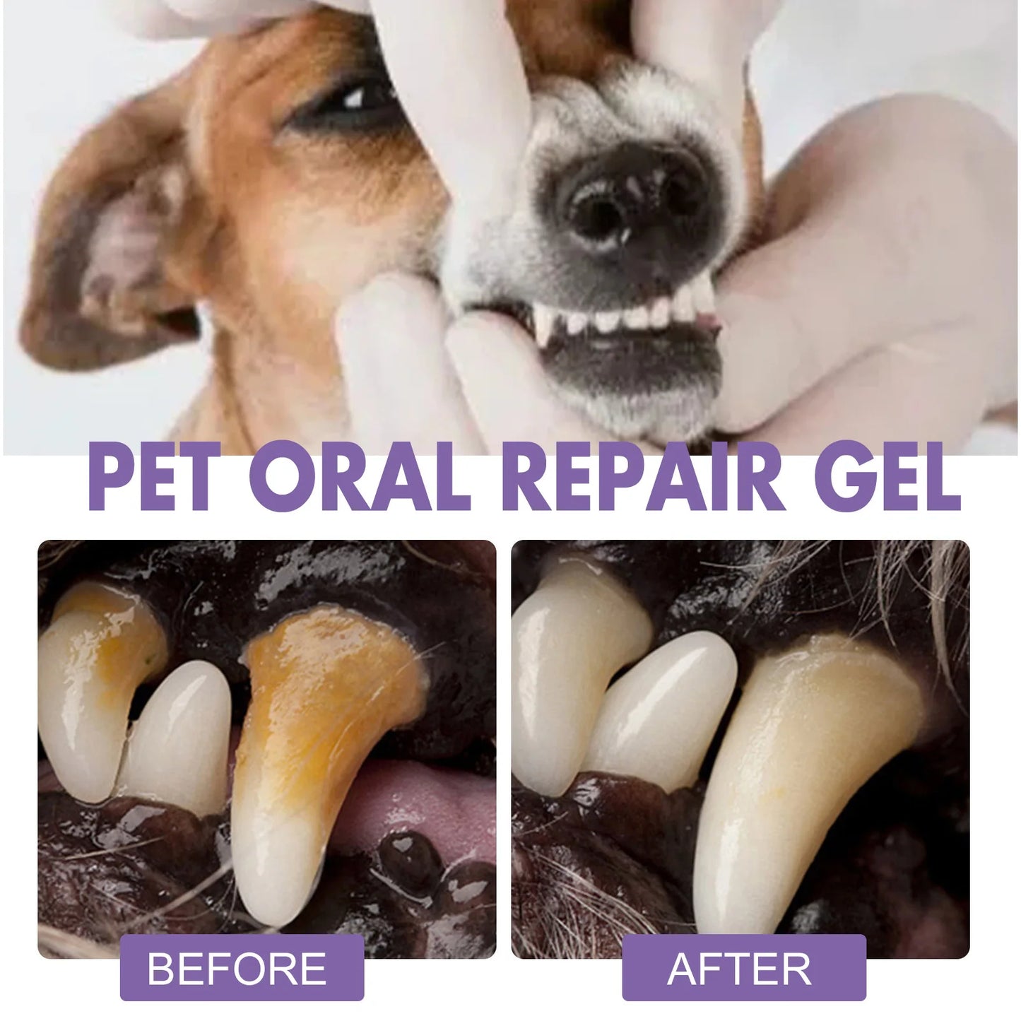 Pet Dental Gel — Fight Tartar & Bad Breath Without Brushing
