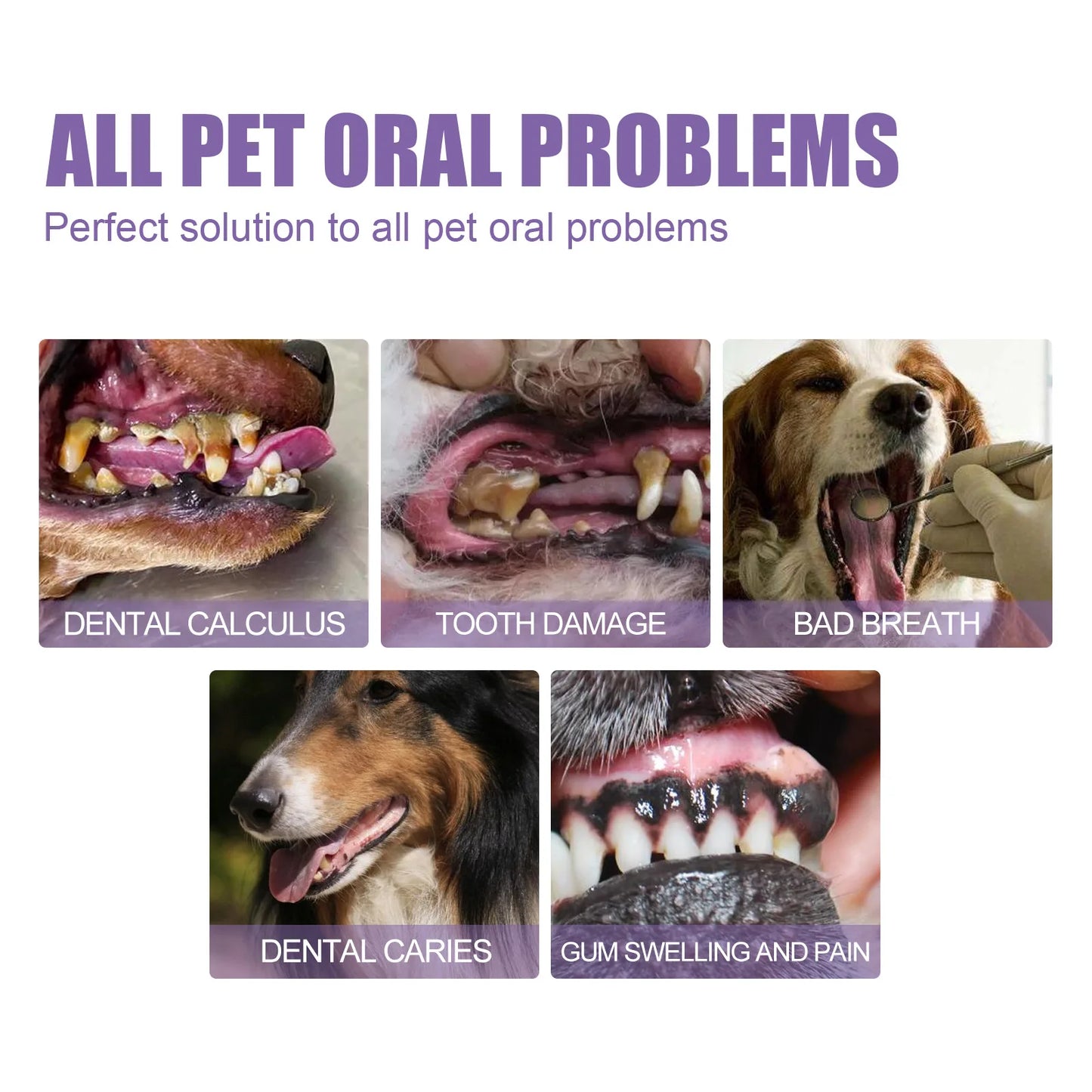 Pet Dental Gel — Fight Tartar & Bad Breath Without Brushing