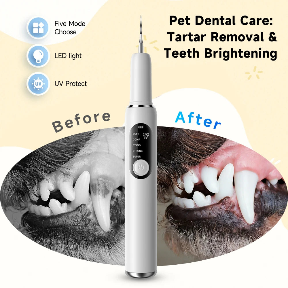 Ultrasonic Pet Dental Scaler — Vet-Style Plaque Removal at Home