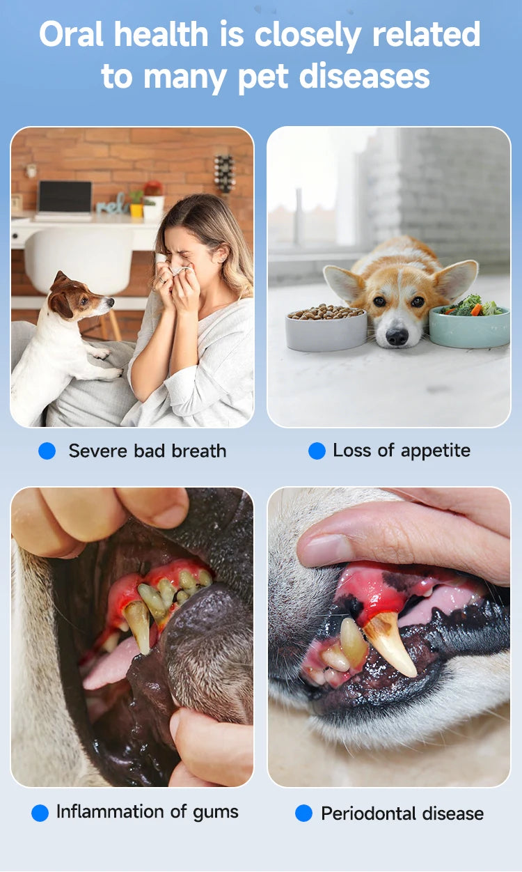 Ultrasonic Pet Dental Scaler — Vet-Style Plaque Removal at Home